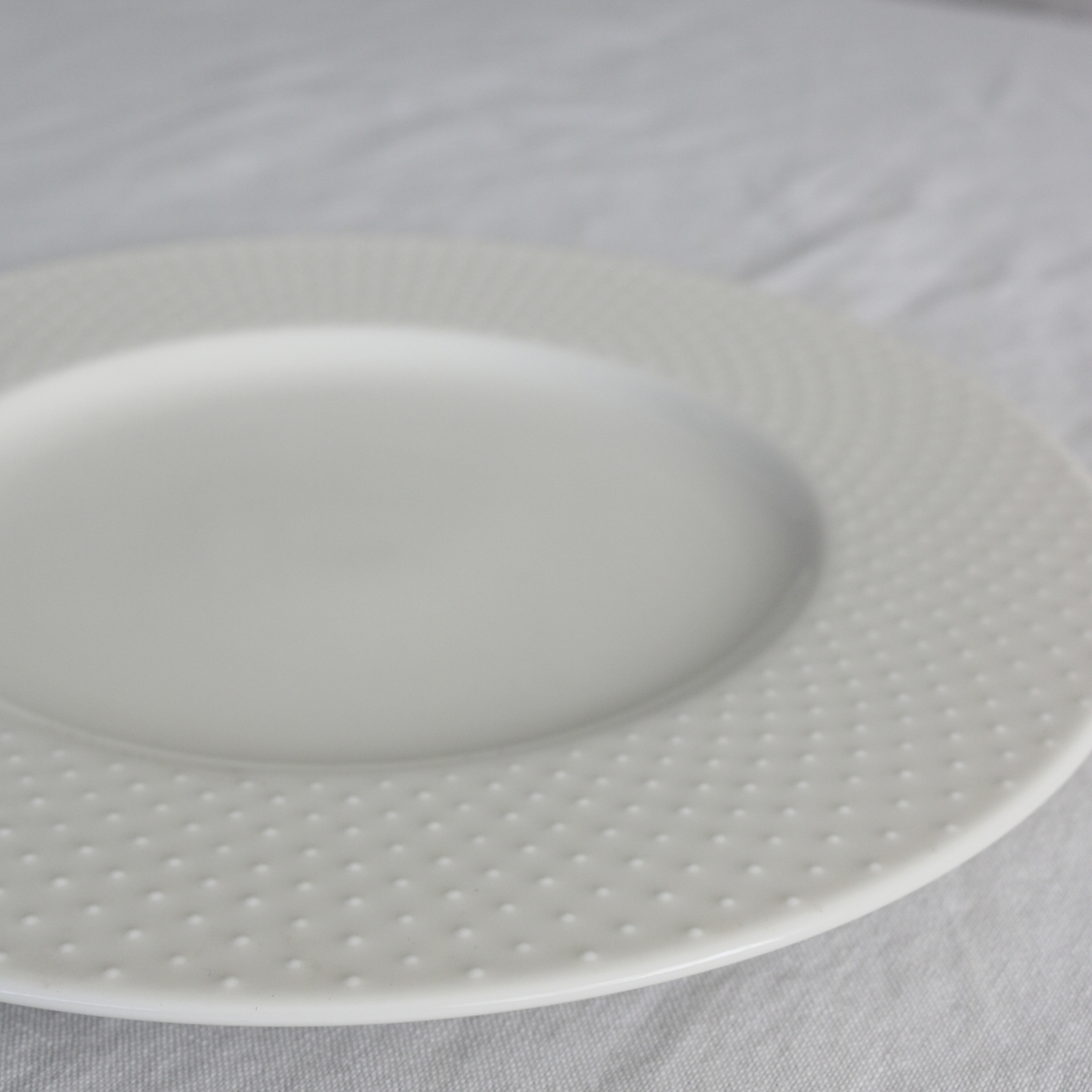 【アウトレット品(現品限り)23-24】ドット|27cmディナー皿