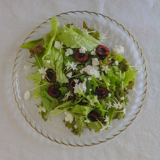 ガラスプレート|スモーク